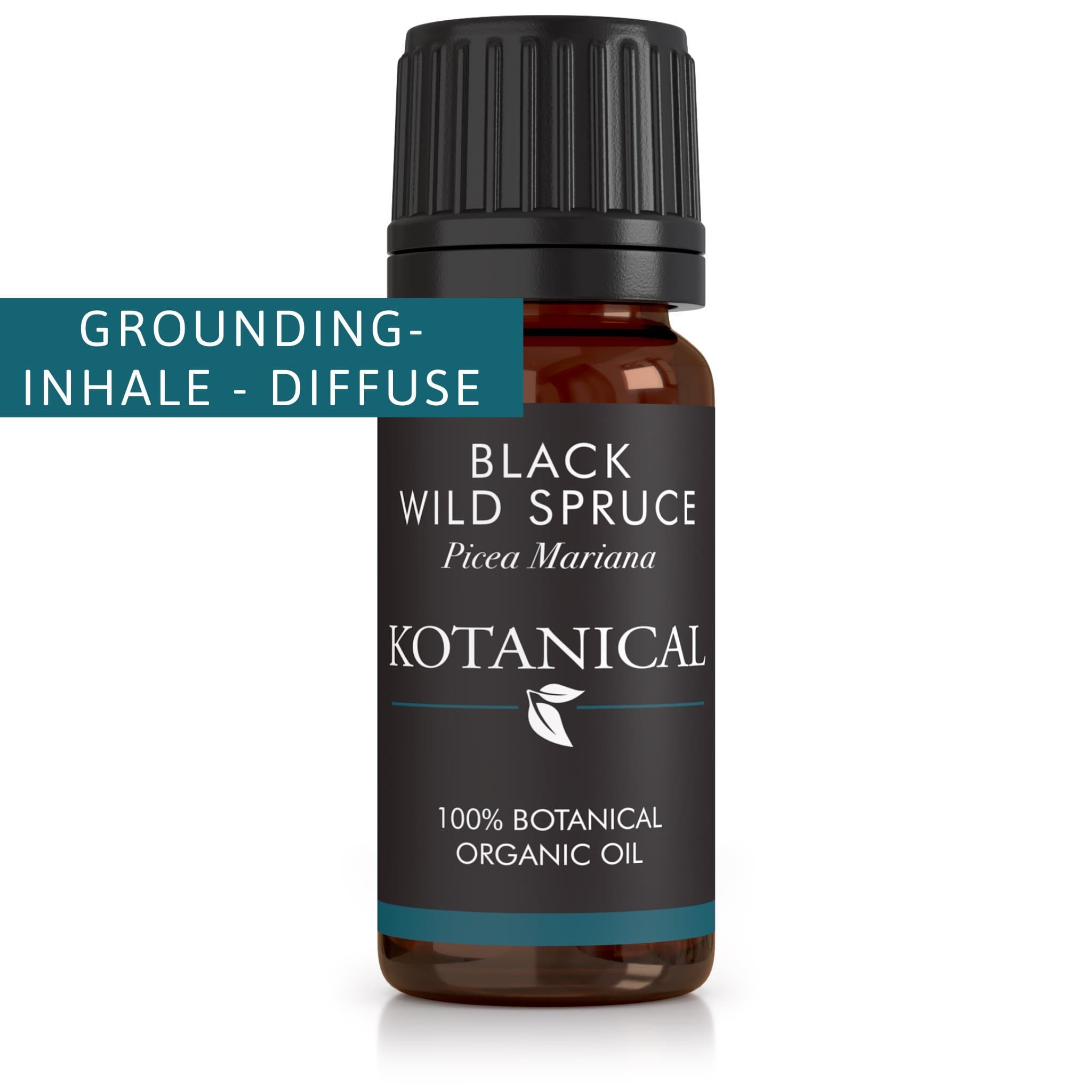 Black Spruce Essential Oil by Kotanical
